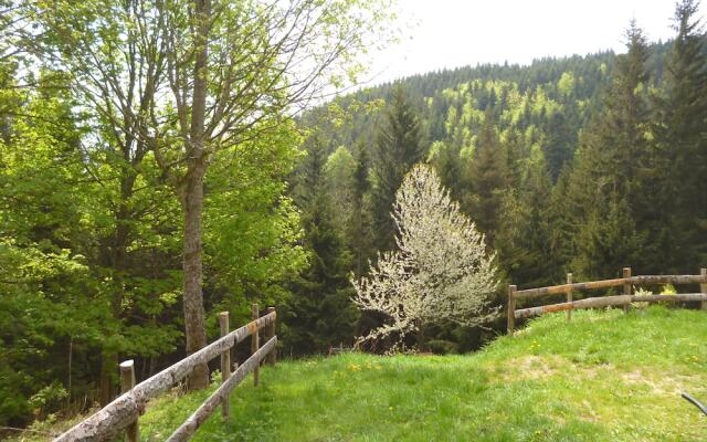 Le Perce Neige Les bruyères de Gaschon