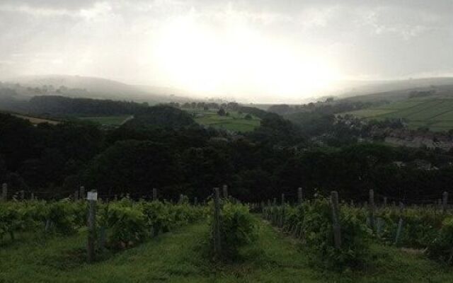 Holmfirth Vineyard