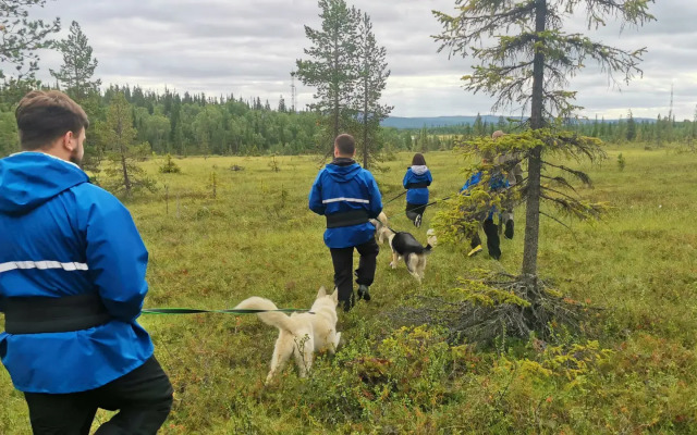 Husky Camp