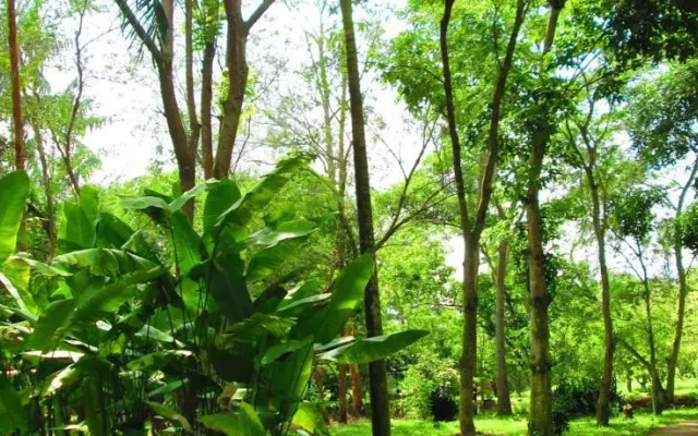 Fundação Terra Mirim