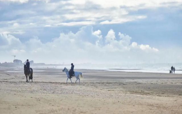 Apartment in Wenduine With Stunning Seaviews