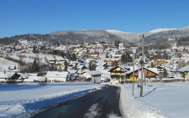 Nice Apartment in Bodenmais