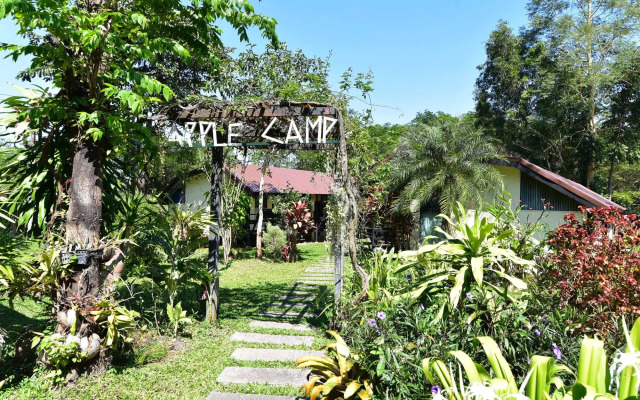 Apple Camp Khao Yai Resort