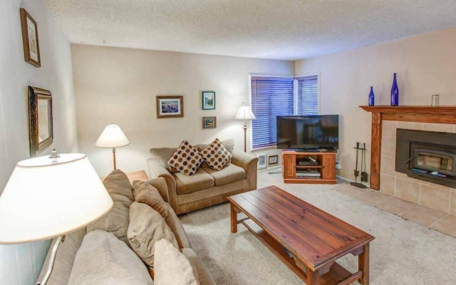 Fireside At Village #105