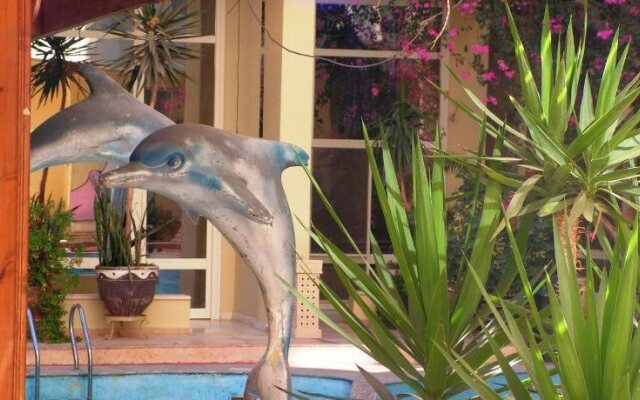 Paradise Hill Apartments