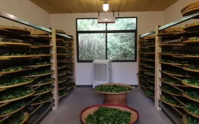 Hidden in mountains and valleys Guesthouse