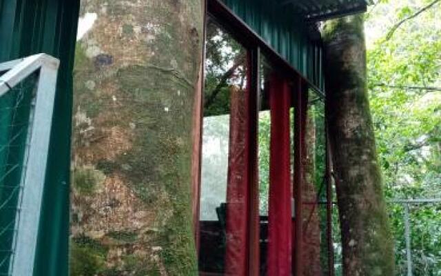 The Green Tree Lodge