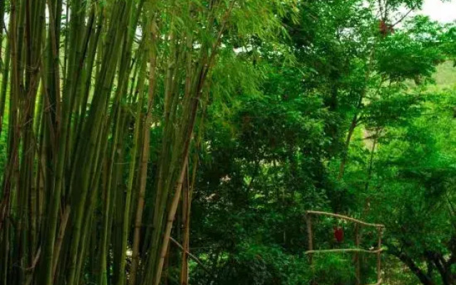 Nuodeng Yuanse Homestay