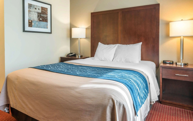 Comfort Inn Lacey - Olympia