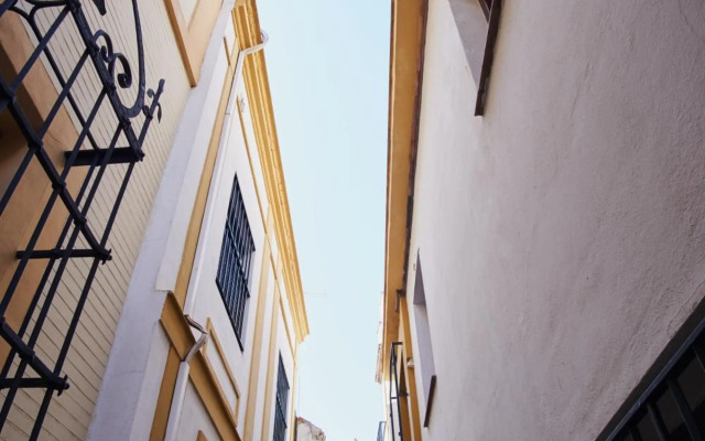 Santa Cruz Pearl by Valcambre