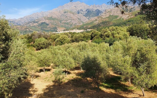 Hotel Casale Olmia