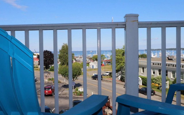 Trade Winds on the Bay