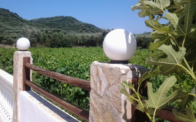 Zante Garden Apartments