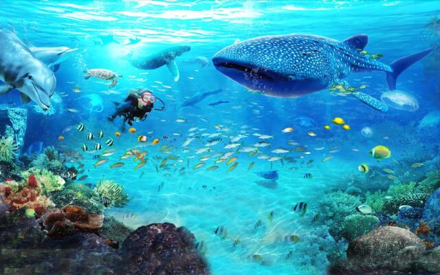 Mego's Apartment in Mego