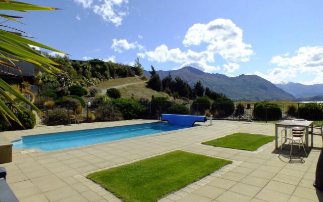 Copper Beech Wanaka