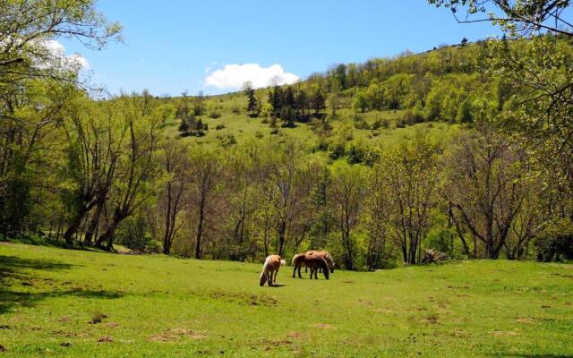 FONT ROMEU - Via I