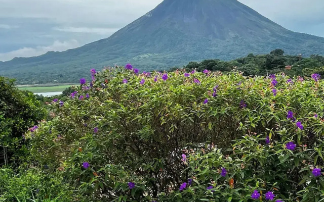 Chateau Arenal