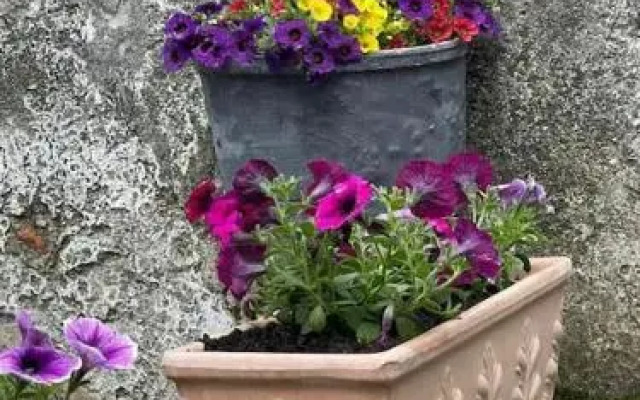 Rustico Porta 2 - Brissago Experience