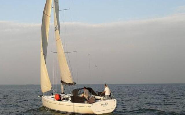 Taikos 24-7a