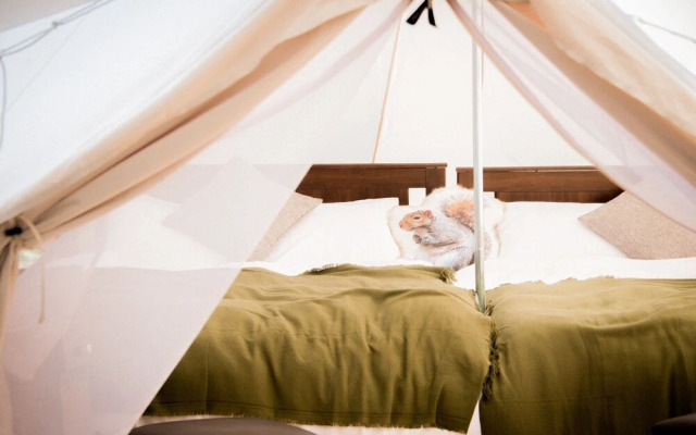 Yoichi Vineyard Glamping