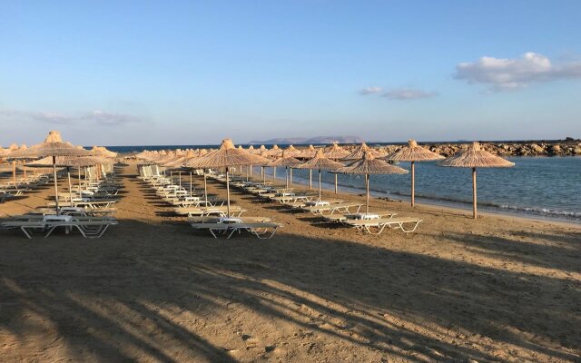 Aphrodite Beach Club