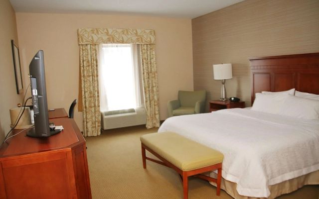 Hampton Inn Detroit/Auburn Hills-North