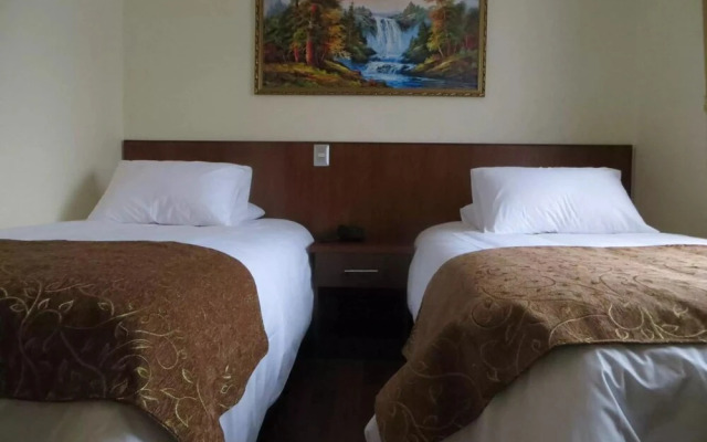 Hotel Newen