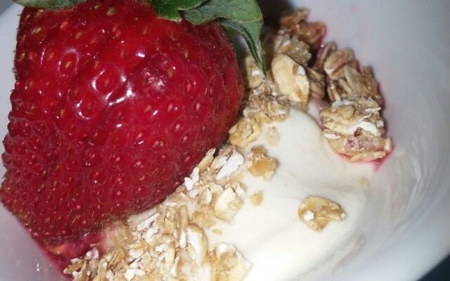 Mooseberry Cabin, Willow AK