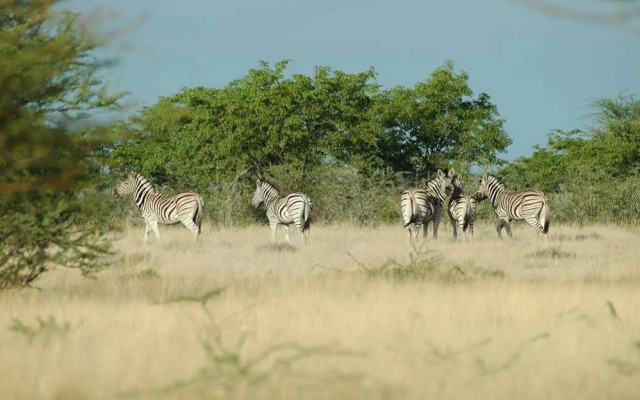 Uukwaluudhi Safari Lodge