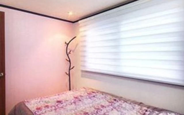 Anmyeondo Blue Ara Pension