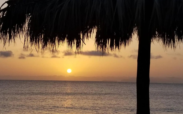 VIP Paradise Apartment