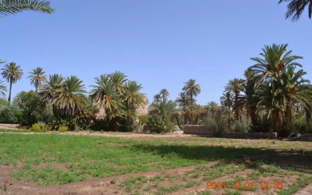 Gîte Kasbah La palmeraie