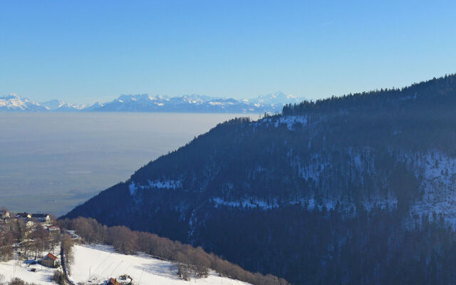 Centaure