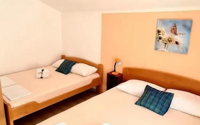 Accommodation Petrović