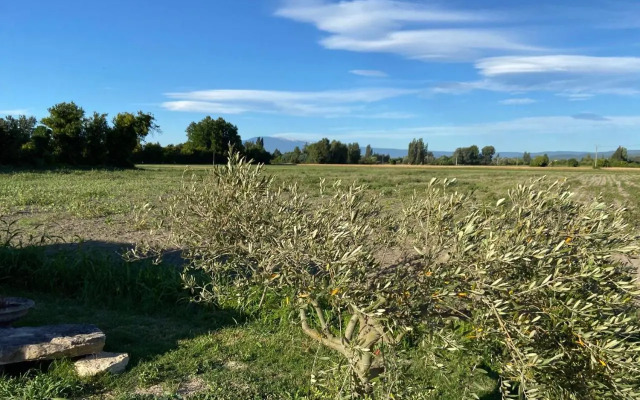 Location gîte campagne en Provence - Vaucluse