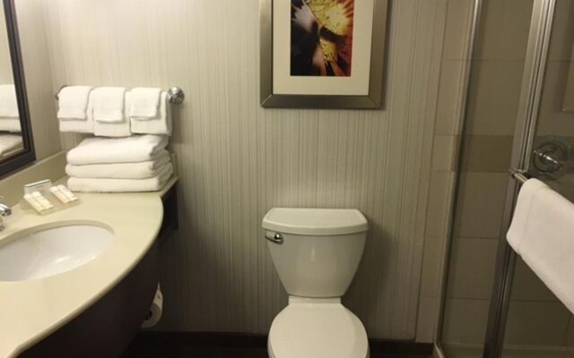 Hilton Garden Inn Pittsburgh University Place