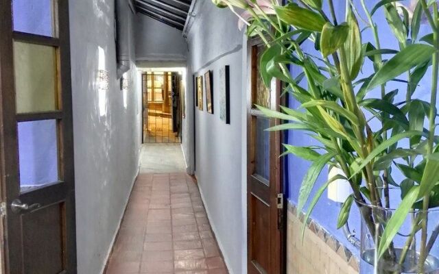 Mola Hostel