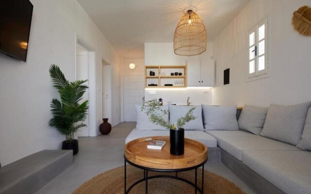 Symmetry Suites