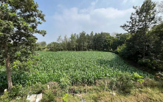Sriram Guest House