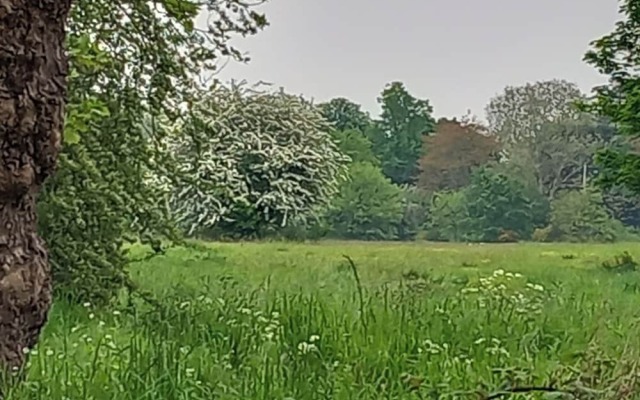 Lovely 1- Double Bed Studio in London