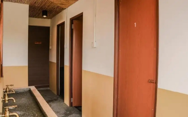 Zen By Stellar Cameron