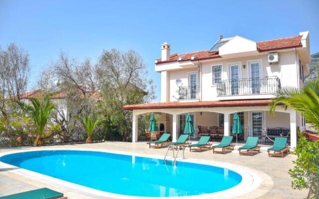 Villa Paradise Found