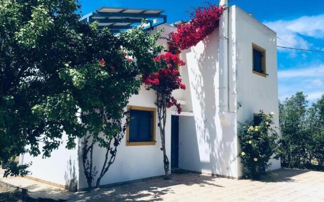 Electra Village House