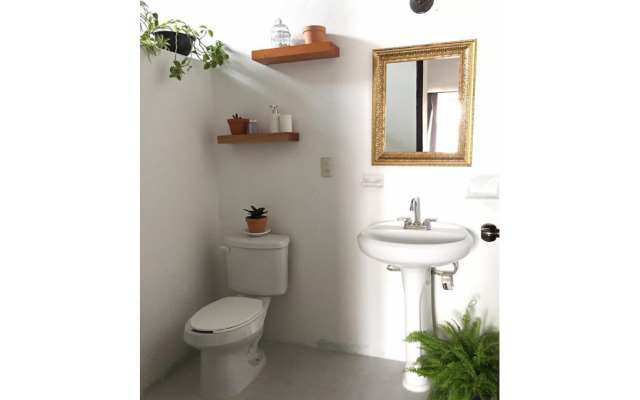 Casa LOBE