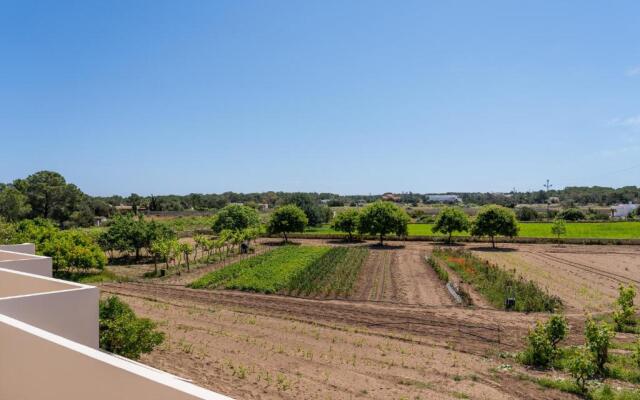 Apartamentos Marcelino