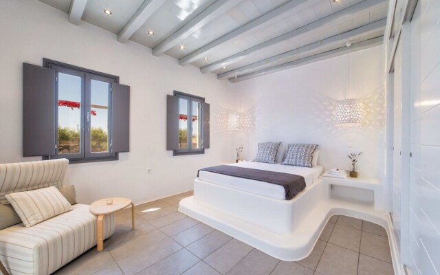 Villa Fuster in Paros