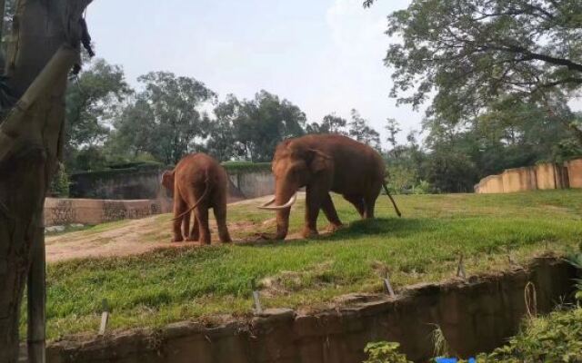 xidawu International Hotel (Guangzhou East Railway Station)