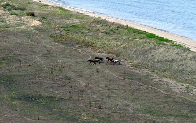 4 Pohon - Les 4 Arbres