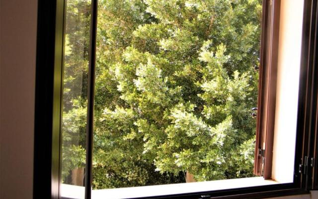 appartamenti la rosa