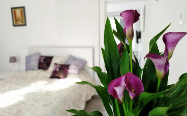 Sirály apartman